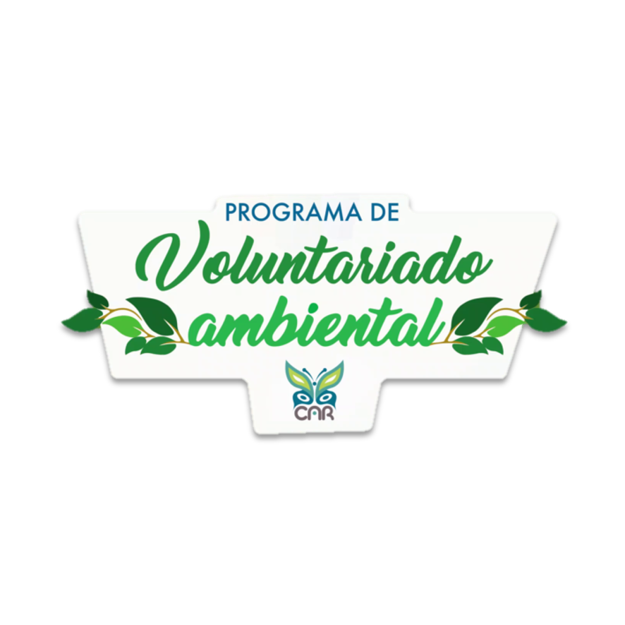 Voluntariado Ambiental